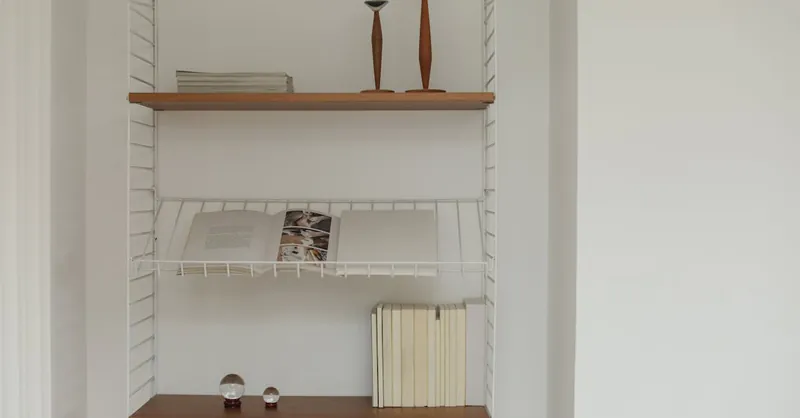 Elegant minimalist bookshelf with decor and neatly arranged books.