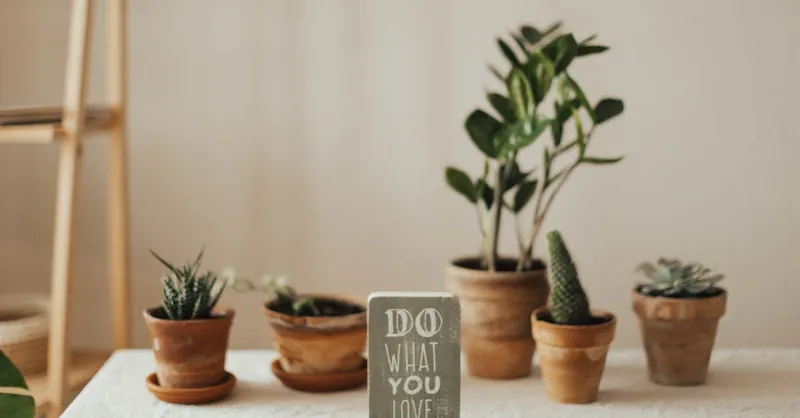 Aesthetic indoor setting with potted plants and motivational sign. Perfect for nature-inspired interiors.