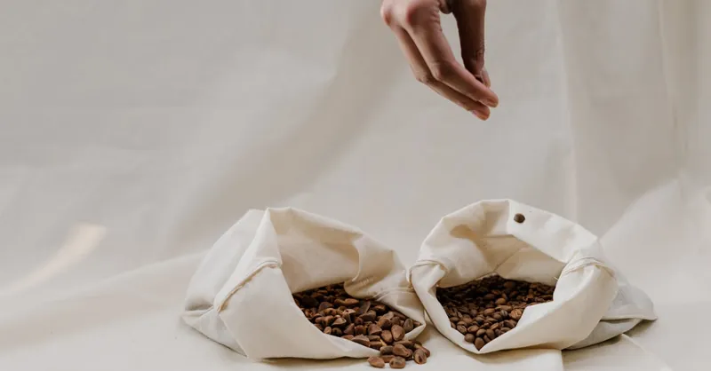 Minimalist image of coffee beans in canvas bags with a hand showcasing sustainability.
