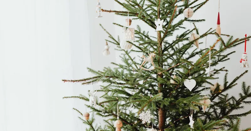 A simple Christmas tree adorned with minimal decorations, symbolizing a cozy holiday season.
