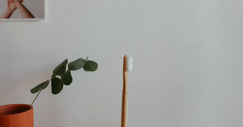 A bamboo toothbrush stands next to a potted eucalyptus, emphasizing simplicity and eco-friendliness.