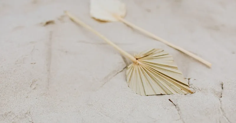 Two palm leaves placed on sandy beach, capturing a minimalist and tranquil still life scene.