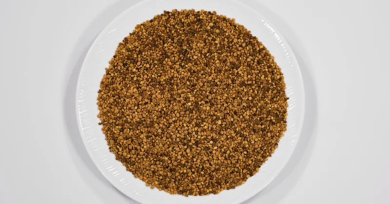 Top view of organic grains on a white plate showcasing a healthy food option.