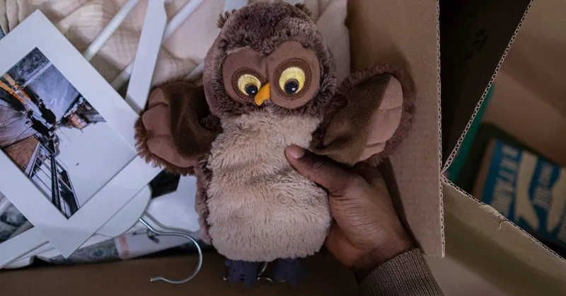 A person holding a plush owl toy in a moving box with photos and clothes.