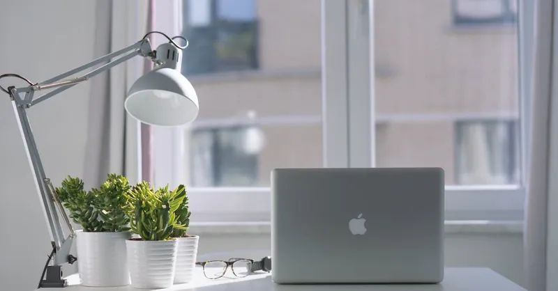 Bright modern workspace with laptop, potted plants, and desk lamp near a window.